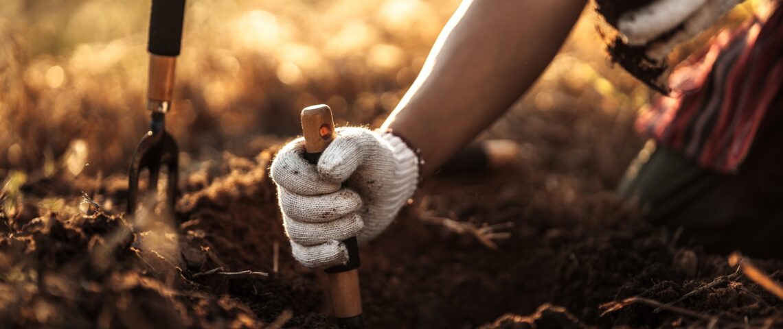Person using a small spade to dig a hole to plant trees